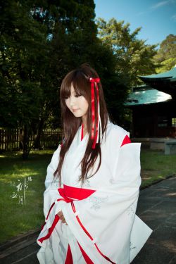 一个人在线观看免费高清视频 封面