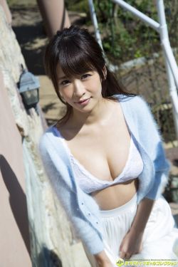 向涟苍生献上纯洁 封面